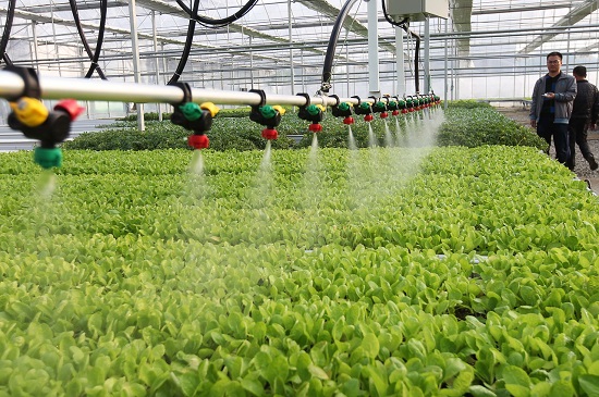 日本温室水肥一体化技术现状 - 四川隆之源灌溉科技有限公司